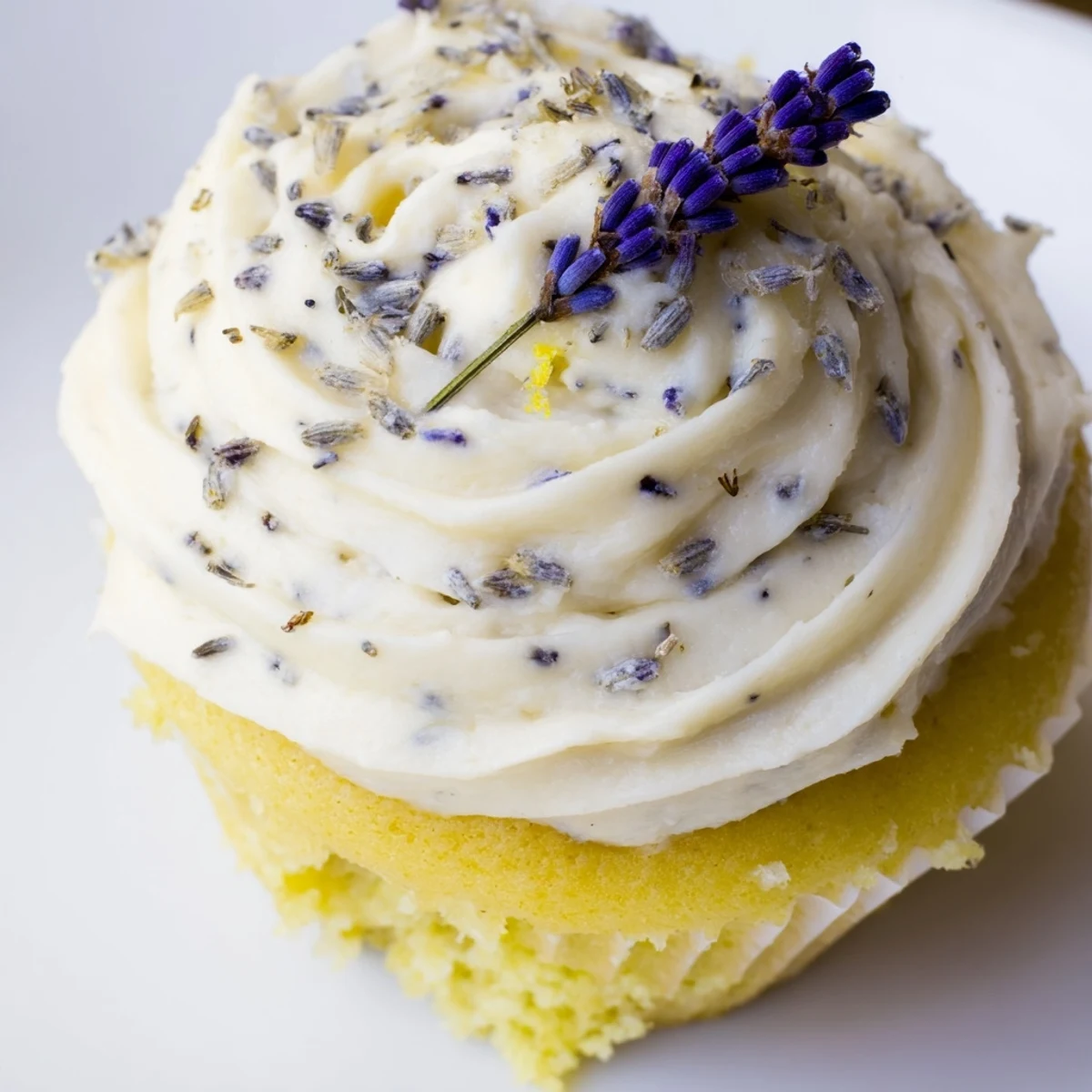 Homemade lemon lavender cupcakes with swirled vanilla frosting on a white plate